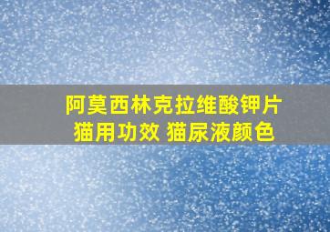 阿莫西林克拉维酸钾片猫用功效 猫尿液颜色